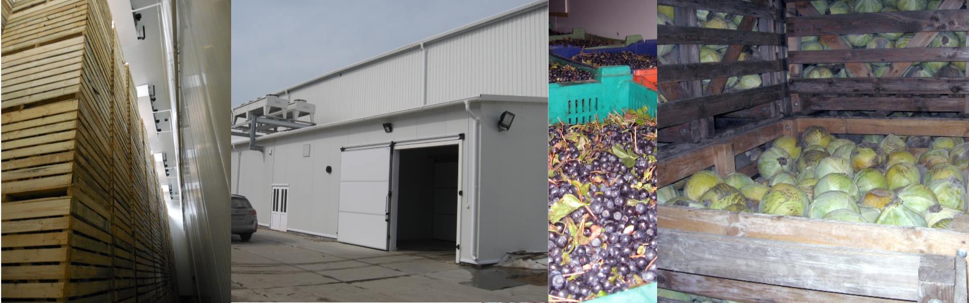 Background image with a warehouse and refrigerated products.