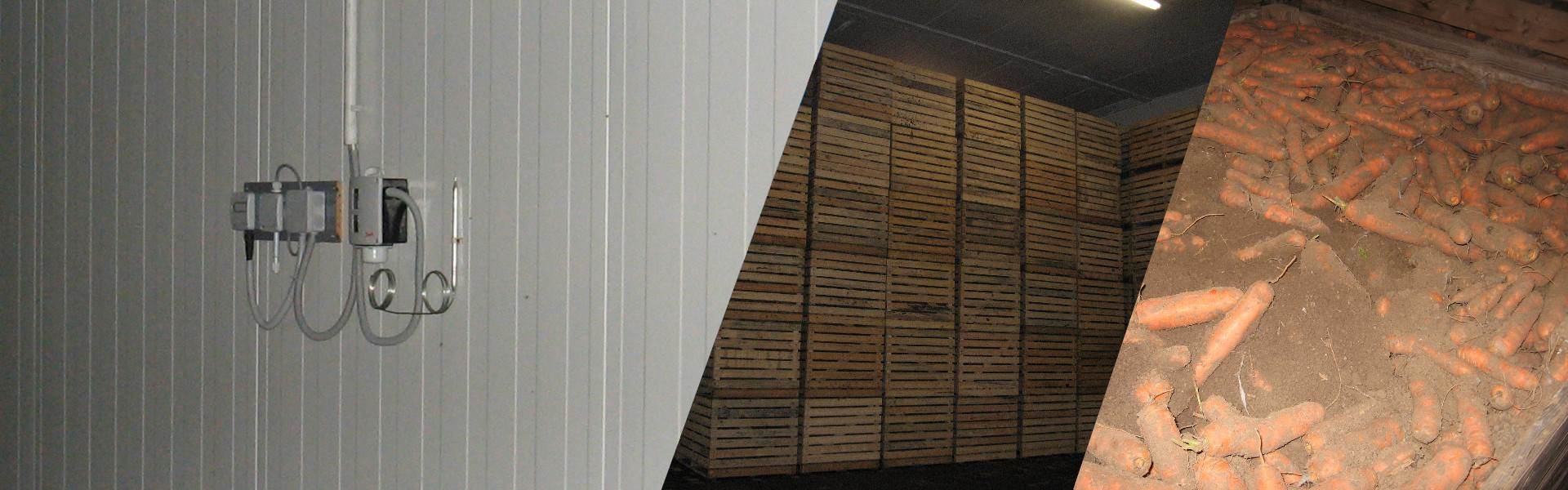 Background image with long-stored carrots, storage containers, and measuring devices.
